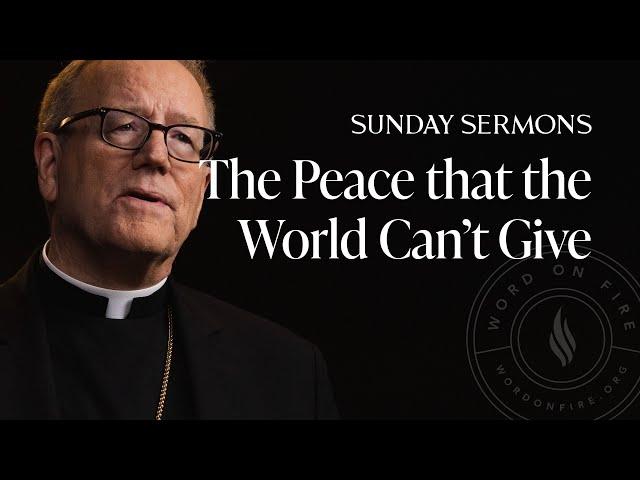 The Peace that the World Can’t Give - Bishop Barron's Sunday Sermon