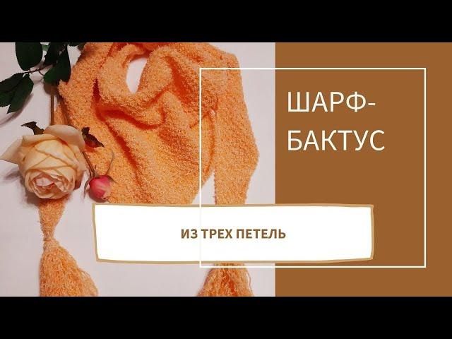 Шарф-бактус из трех петель спицами: демонстрация модели