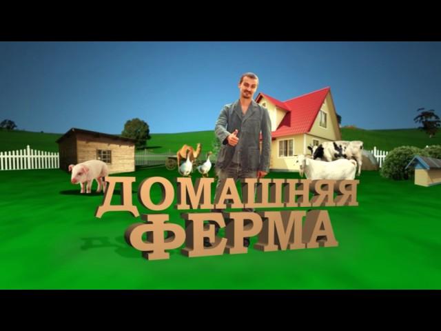 Домашняя ферма. Нутрии