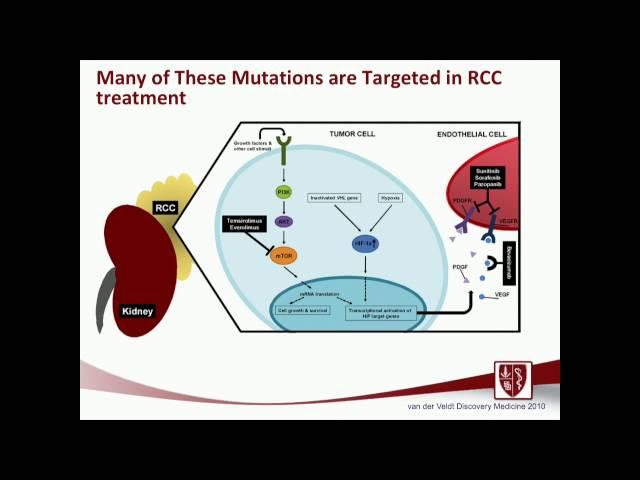 The Genomics of Kidney Cancer Alexey Aleshin, MD, MBA