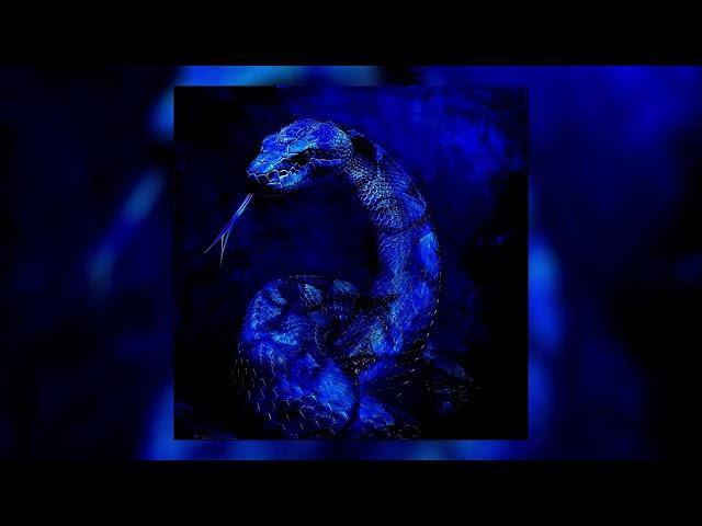 xxiene — «Snake»