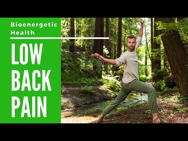 Bioenergetic Exercises for Low Back Pain - Qigong for Low Back Pain