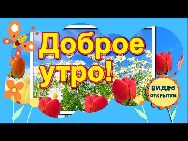 Доброе утро! Музыкальное пожелание с Добрым утром и хорошим днем! Красивая видео открытка для друзей