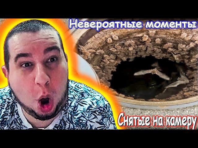 МАНУРИН СМОТРИТ НЕВЕРОЯТНЫЕ МОМЕНТЫ СНЯТЫЕ НА КАМЕРУ ⊳ WATCH THE MANYRIN РЕАКЦИЯ #reaction #реакция