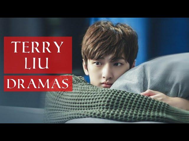 Terry Liu Dramas List