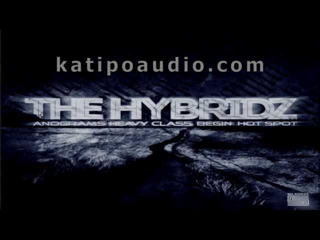 The Hybridz - Begin