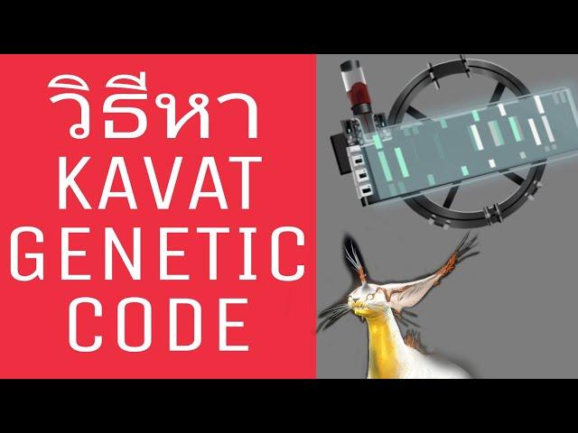 วิธีหาKAVAT GENETIC CODE (Warframe)