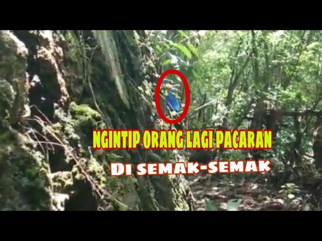 Ngintip orang lagi pacaran di semak-semak kedapatan,,parahh