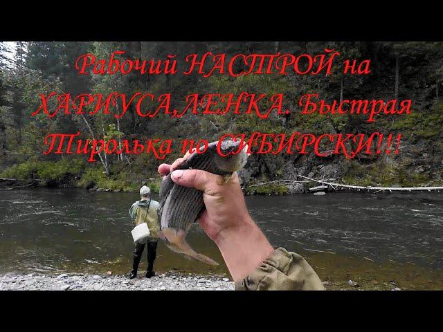 Рабочий Настрой СНАСТИ на ХариусА/ТИРОЛЬКА 10 гр-Быстрая РЕКА.