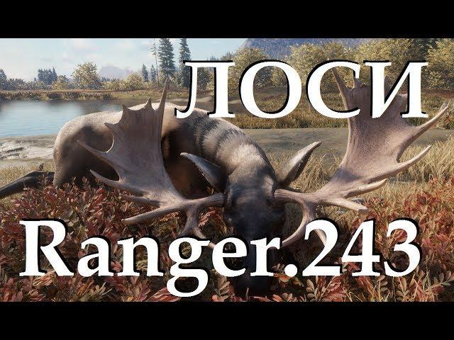 TheHunter Call of the Wild Гайд по охоте на Лосей с винтовкой RANGER.243