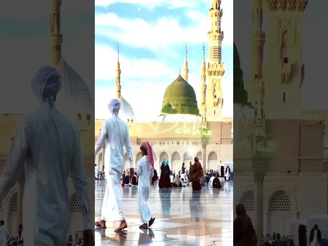Noor Wala Aya Hai Status |4k Video | Urdu Lyrics Whatsapp Status | Islamic Status #naat #miladunnabi