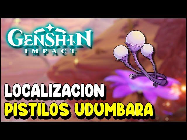 Genshin Impact Localización PISTILOS DE UDUMBARA   Actualización 3 6