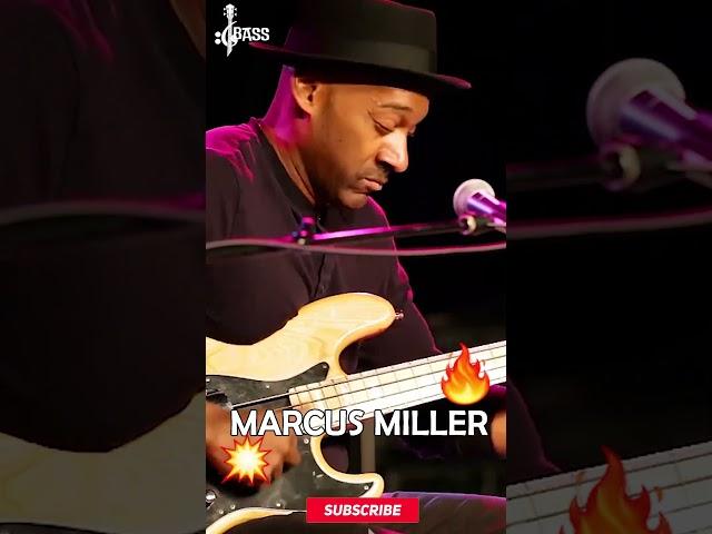 Marcus Miller Cool Slap Solo  @ChamisBass  #chamisbass #marcusmiller #livebass