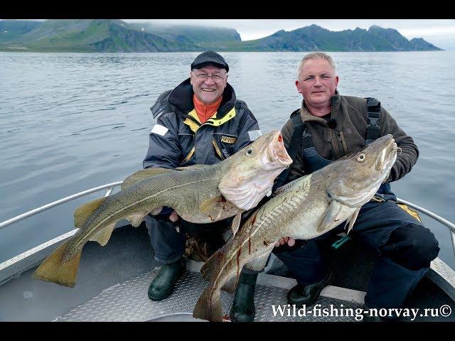 Морская рыбалка в Норвегии.Треска.Wild Fishing Norway