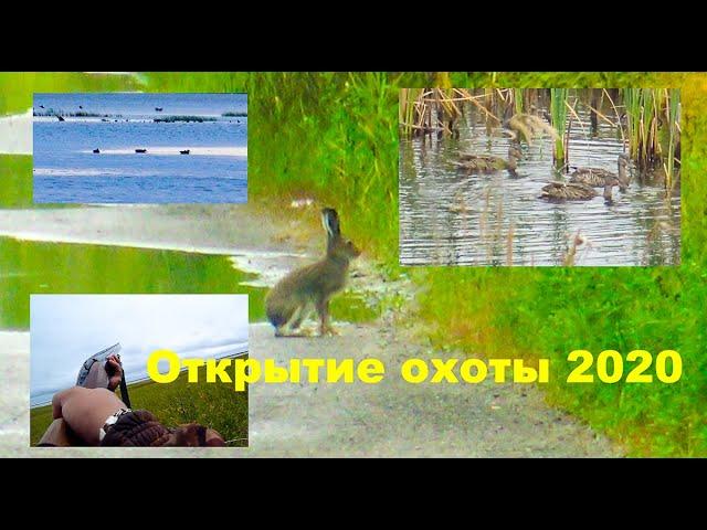 Открытие охоты 2020г. ХМАО. Охота на уток.