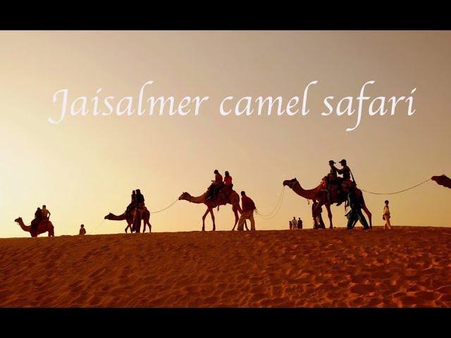 CAMEL SAFARI IN THE DESERT - JAISALMER, INDIA TRAVEL VLOG