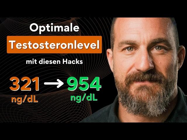 Testosteron natürlich steigern: 4 Dinge, die JEDER tun sollte - Huberman’s Top Tipps