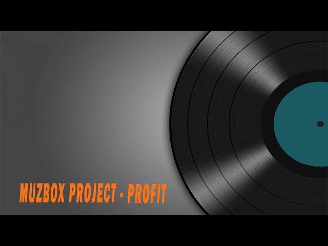 MuzBox Project - Profit