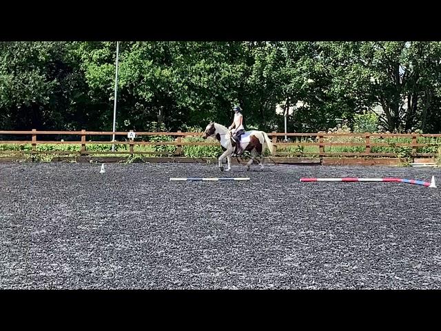 Hannah Walker and Starstruck Knight of Cavalier intro B dressage Ireland - dressage in-line