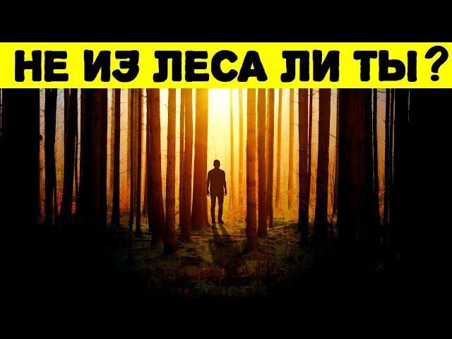 ТЕСТ НА УМ! Если ты НЕ ответишь хотя бы на 10 вопросов, то ты из леса!