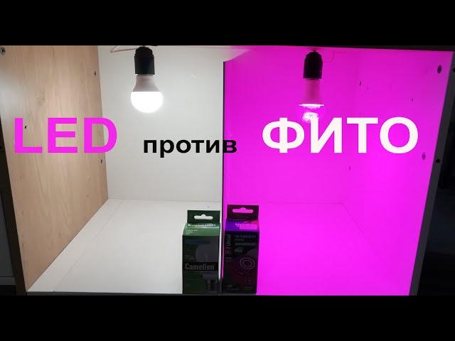 Тест в гроубоксе Фитолампа VS  LED лампа