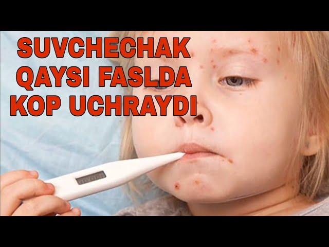 SUVCHECHAK QAYSI FASLDA KOP UCHRAYDI СУВЧЕЧАК КАЙСИ МАВСУМДА КОП УЧРАЙДИ