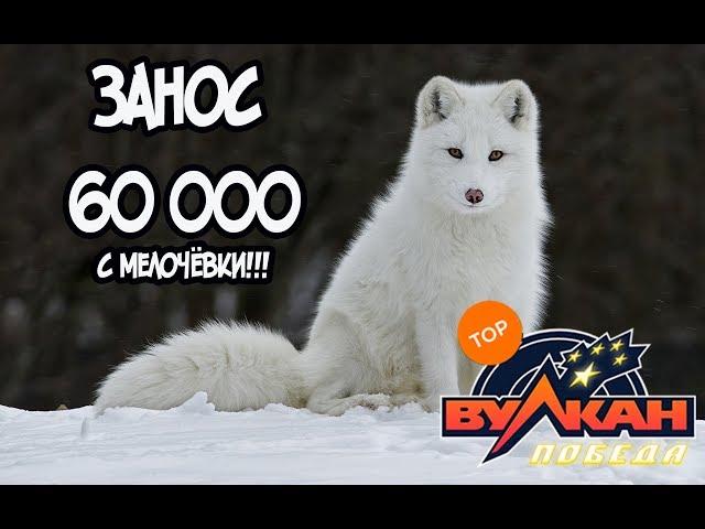 60 000 РУБЛЕЙ С 3000 НА АВТОМАТЕ POLAR FOX!!! ВУЛКАН КАЗИНО