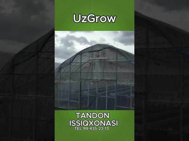 МАНА БИЗНИ ИССИҚХОНАНИ ФАРҚИ НИМАДА #uzgrow