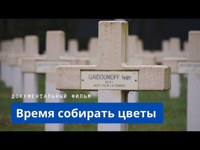 РУССКИЙ ЭКСПЕДИЦИОННЫЙ КОРПУС ВО ФРАНЦИИ и "ЛЕГИОН ЧЕСТИ" в фильме "ВРЕМЯ СОБИРАТЬ ЦВЕТЫ".