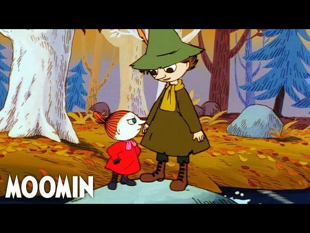 The Witch I EP 35 I Moomin 90s  #moomin #fullepisode