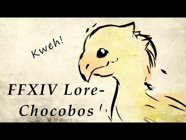 FFXIV Lore- Understanding Chocobos