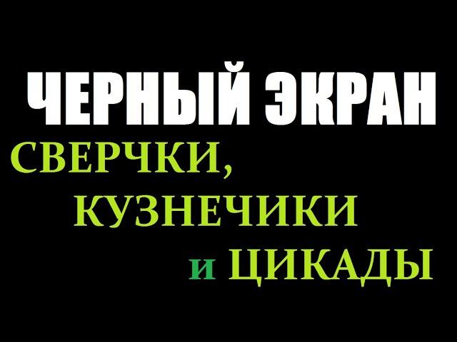 Поющие Сверчки и Кузнечики  / ЧЕРНЫЙ ЭКРАН для сна / БЕЛЫЙ ШУМ / Звуки для сна / Быстро Заснуть