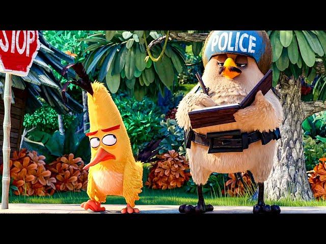 Chuck vs The Police Scene - THE ANGRY BIRDS MOVIE (2016) Movie Clip