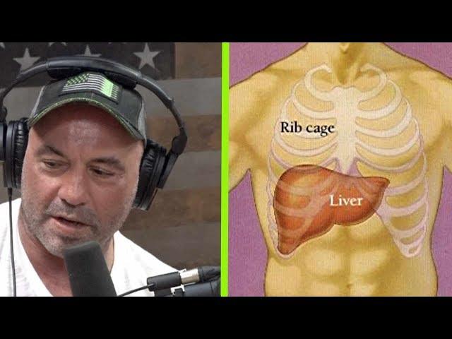 What a Liver Shot Really Feels Like | Joe Rogan