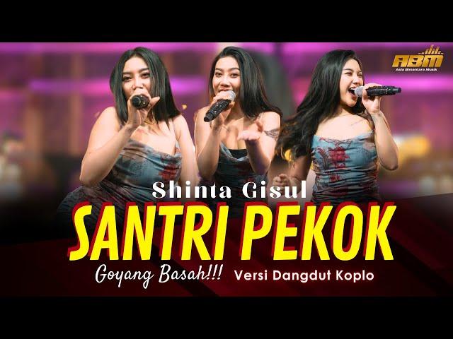 Shinta Gisul - SANTRI PEKOK ( Dangdut Koplo Version )