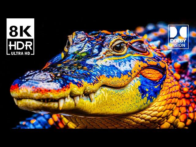 Best 8K Video ULTRA HD 120 FPS Dolby Vision (8K HDR)