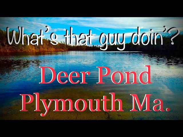 Fishing Deer Pond, Plymouth, Ma. A frustrating day.