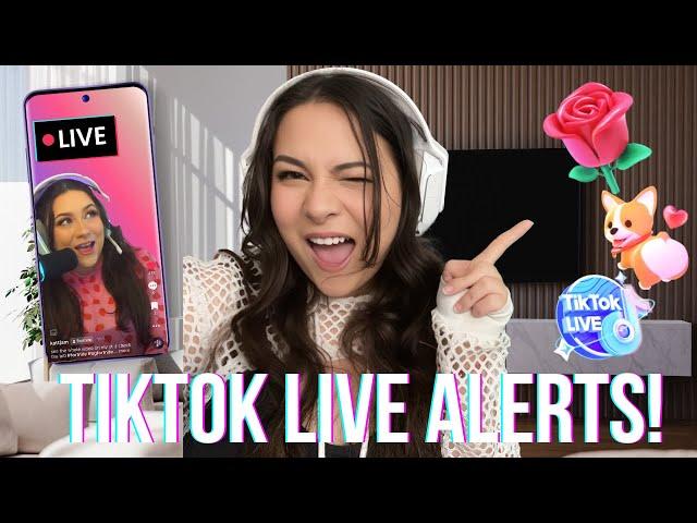 Live Streaming For Dummies: How to Set Up TikTok Alerts (TikFinity)