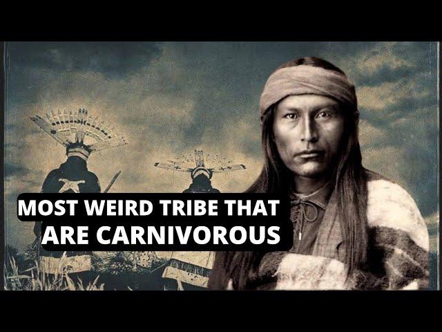 Apache tribe Society and Culture | Apache facts and history