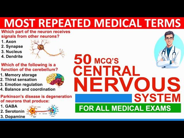 central nervous system mcqs with answers | mcq on central nervous system | nervous system mcqs