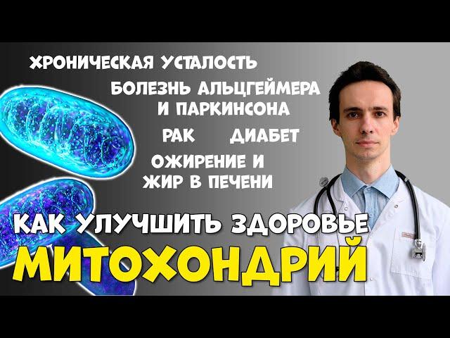 Митохондрии - источники энергии и виновники болезней. Как улучшить здоровье митохондрий