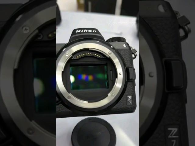 Nikon Z7 Camera & Nikon AF-S Nikkor 85mm f/1.4G Lens photography 8k