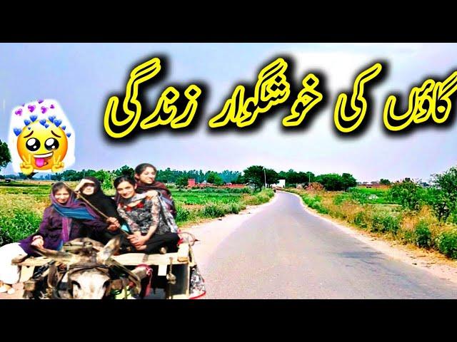 Village life beautiful scenes || Desi Urdu vloggers | anas raj vlogs