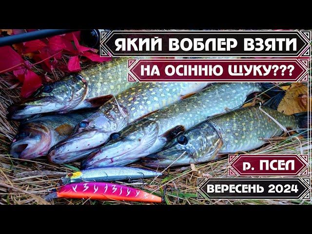 На ЯКИЙ ВОБЛЕР ЛОВИТИ ЩУКУ ВОСЕНИ ⁉️ ДЕШЕВА РЕПЛІКА  утерла ніс ЯПОНСЬКИМ ОРИГІНАЛАМ!