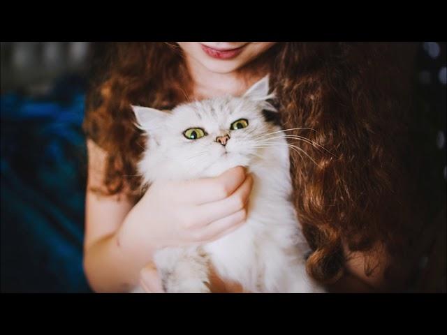 flwrs. - lovebite (feat. pluto & NVTHVN)