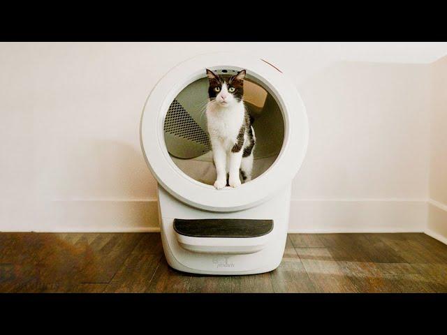 Top 5 Best Self Cleaning Litter Boxes for Cats In 2024