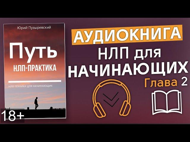 Аудиокнига. Путь НЛП практика. НЛП для начинающих. Книги по НЛП. Аудиокниги.  Аудиокнига НЛП