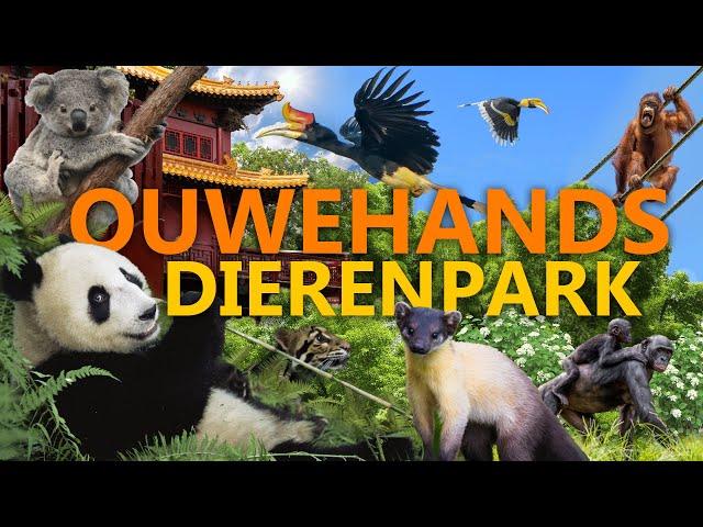 Ouwehands Dierenpark (Rhenen) - Pandas, Koalas und vieles mehr! | Zoo-Eindruck