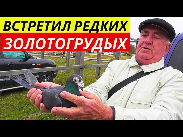 ЯРМАРКА ГОЛУБЕЙ г.Павлоград Цены  Продажа  Голуби ▶ 2-я часть