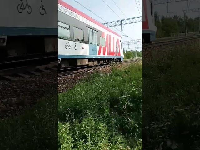 ЭГ2ТВ Иволга 1.0 #рекомендации #train #railway #мцд #эг2тв #иволга #мцд2